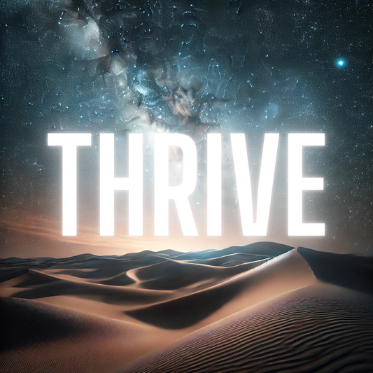 Thriving in Your Entrepreneurial Journey: Cultivating Joy, Resilience and Success